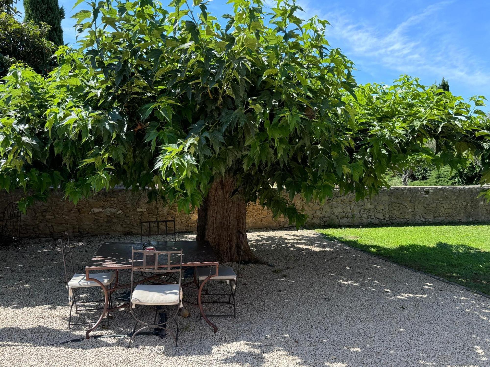 Bastide Du Buou Apartman Puyvert Szoba fotó